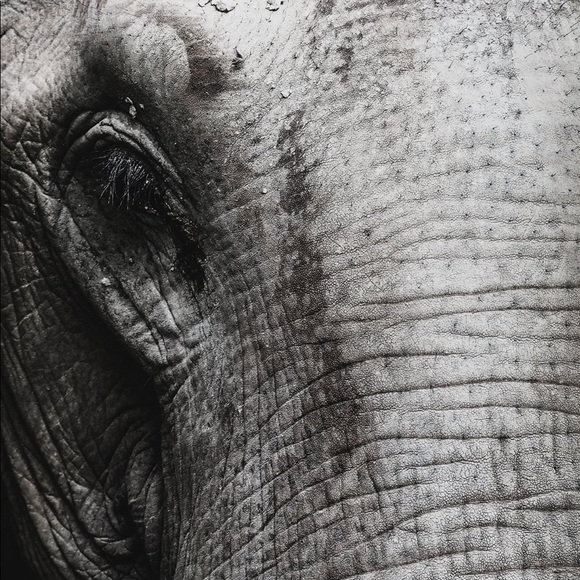 Meet your Posher, Journey - Picture 1 of 1